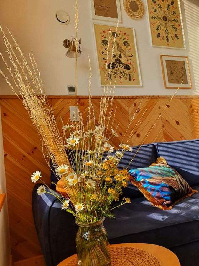 Przystan Nad Listepka Domek Nowoczesna Stodola Z Widokiem Na Tatry, Gorce I Pieniny Lopuszna Exterior photo