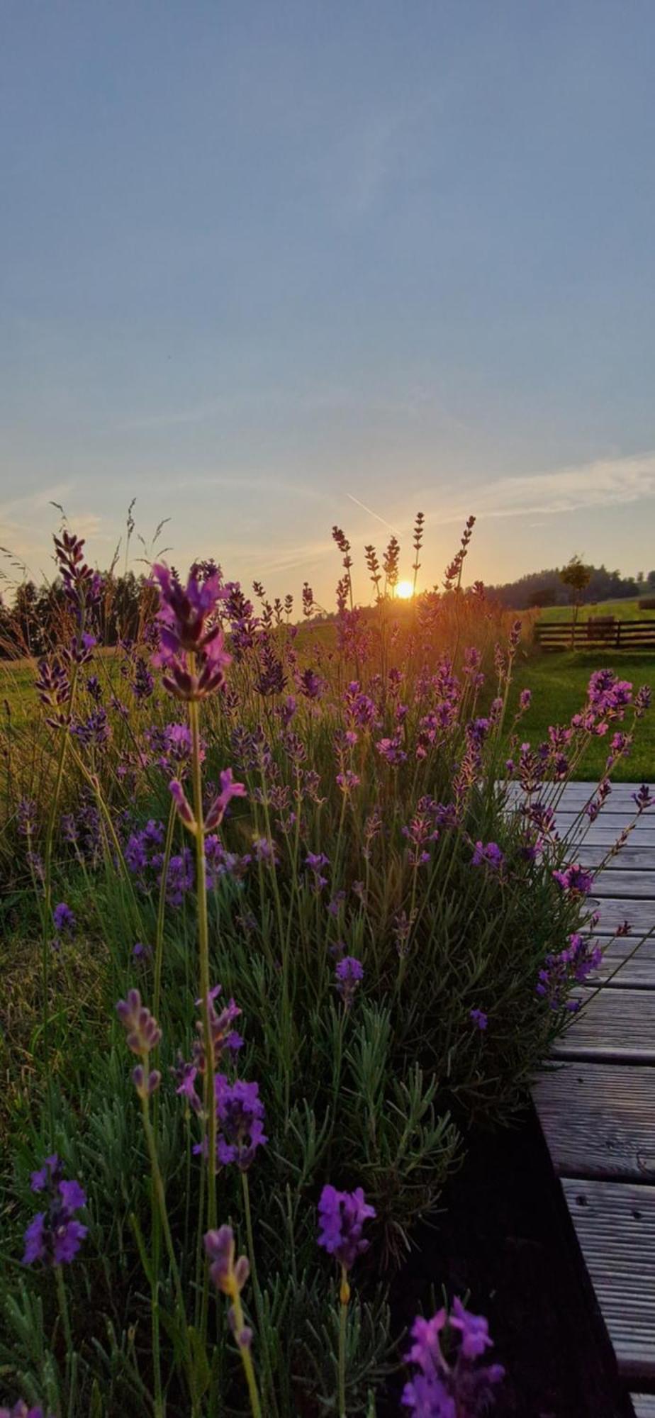 Przystan Nad Listepka Domek Nowoczesna Stodola Z Widokiem Na Tatry, Gorce I Pieniny Lopuszna Exterior photo
